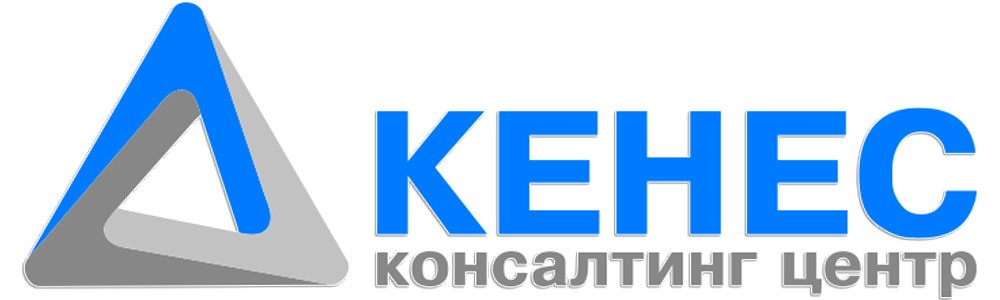 Тоо консалтинг